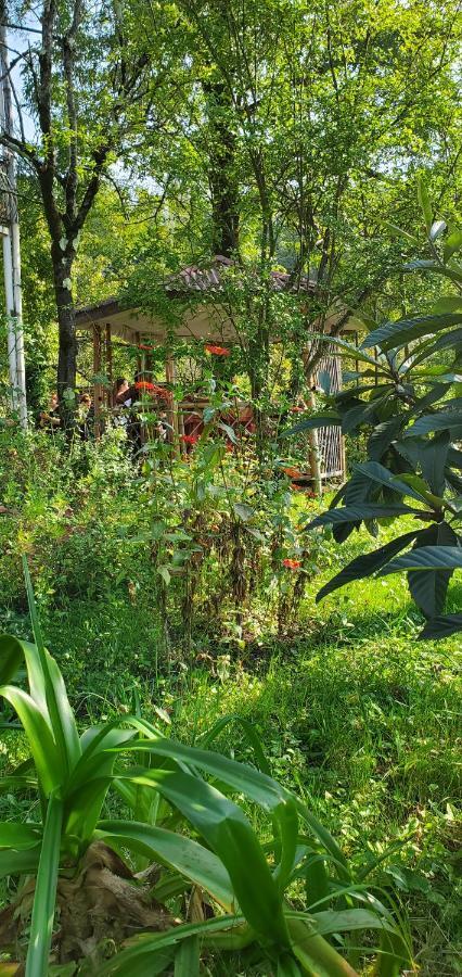 Villa Gelati Kutaisi Exteriér fotografie